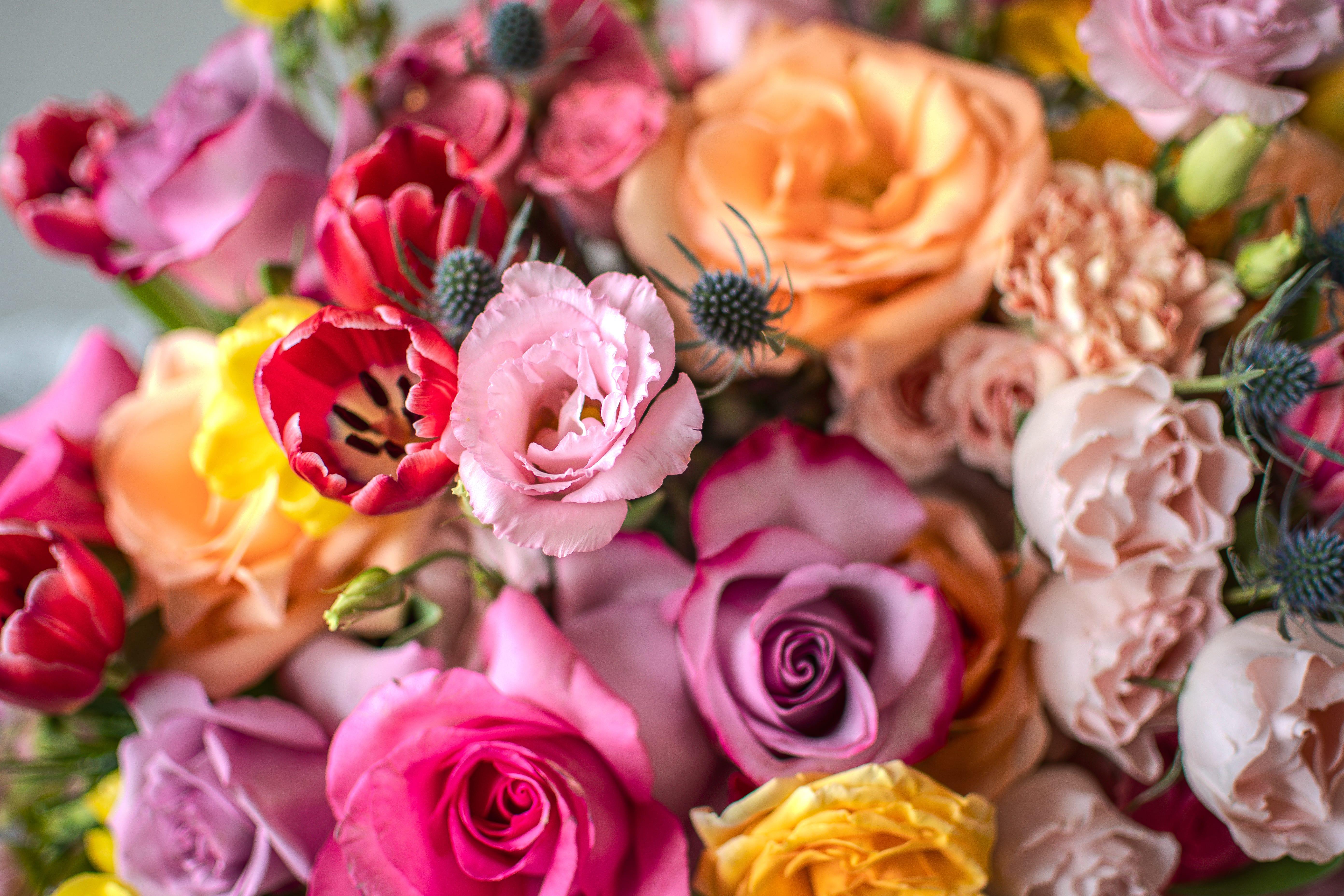 About:Fresh Flowers